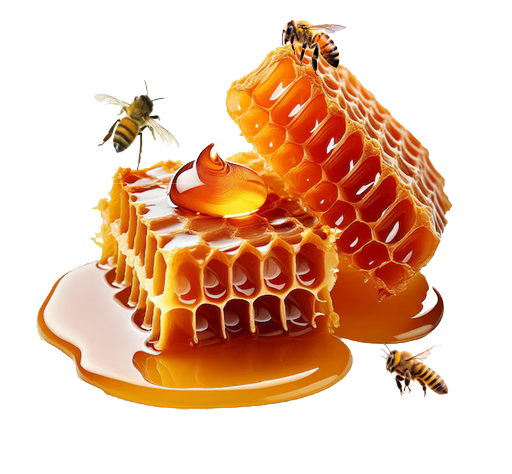 INFUSED HOT HONEY PRODUCTS - Pepper Factory